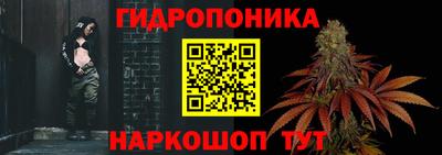 прущая мука Ачхой-Мартан