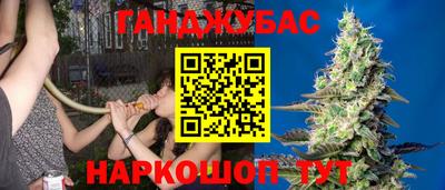 сатива Баксан