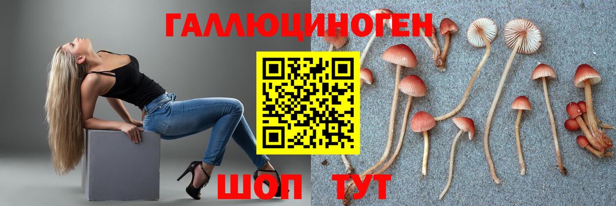 Псилоцибиновые грибы Magic Shrooms  продажа наркотиков  Грозный  Вход с VPN  Галлюциногенные грибы Cubensis 